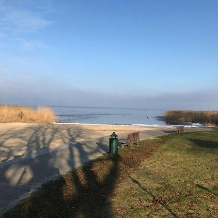 Ferien-Bungalow Im Seebad Ueckermuendeot Bellin Εξωτερικό φωτογραφία